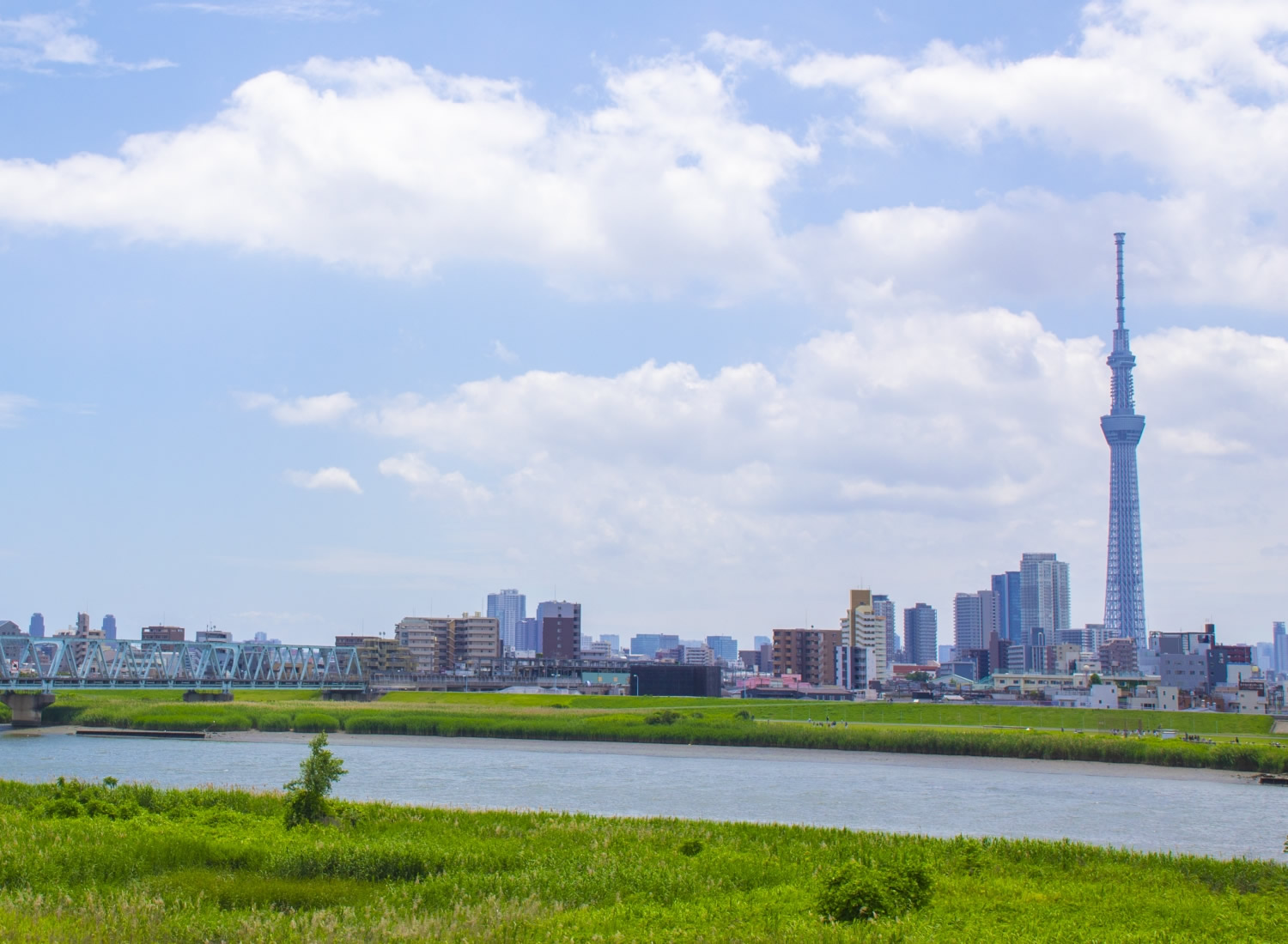 スカイツリーが見える川沿いの風景